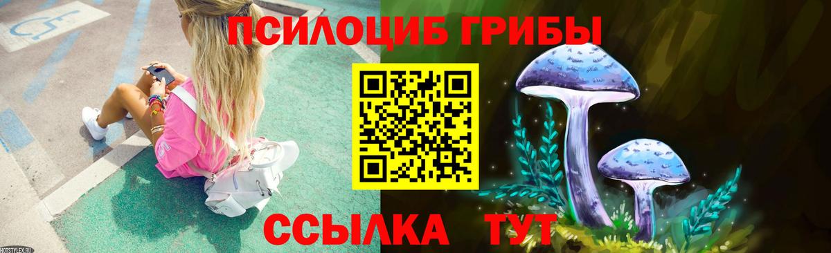 Галлюциногенные грибы Psilocybine cubensis  Вход с VPN  купить наркотик  Дальнегорск 